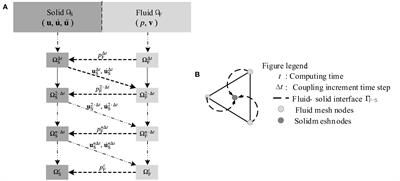 Nonlinear seismic response analysis of layered seabed considering seawater-seabed coupling effects